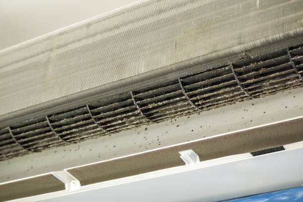 Best Affordable HVAC Duct Cleaning  in Mount Hermon, VA